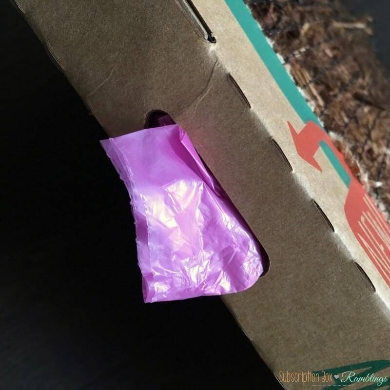 Bark Potty Subscription Box Review Subscription Box Ramblings