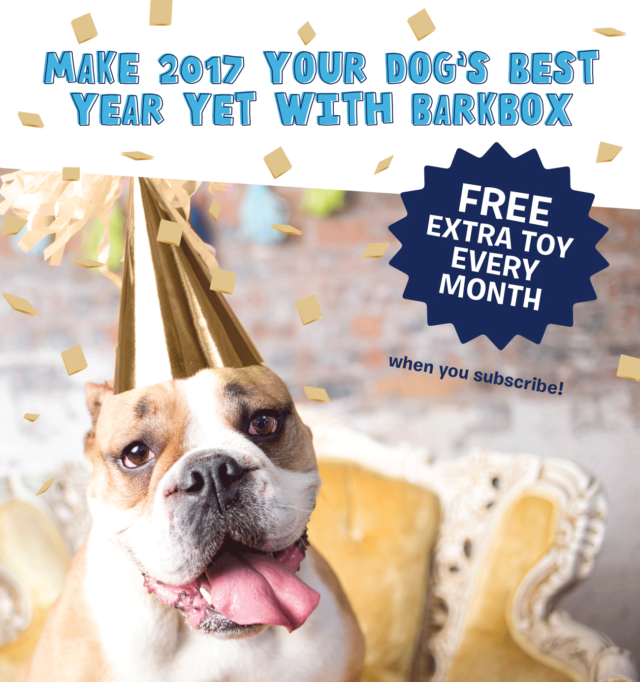 BarkBox Free Extra Toy Per Month Subscription Box Ramblings