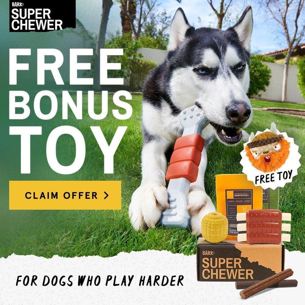 BarkBox Super Chewer Coupon Code Free Bonus Toy Subscription Box