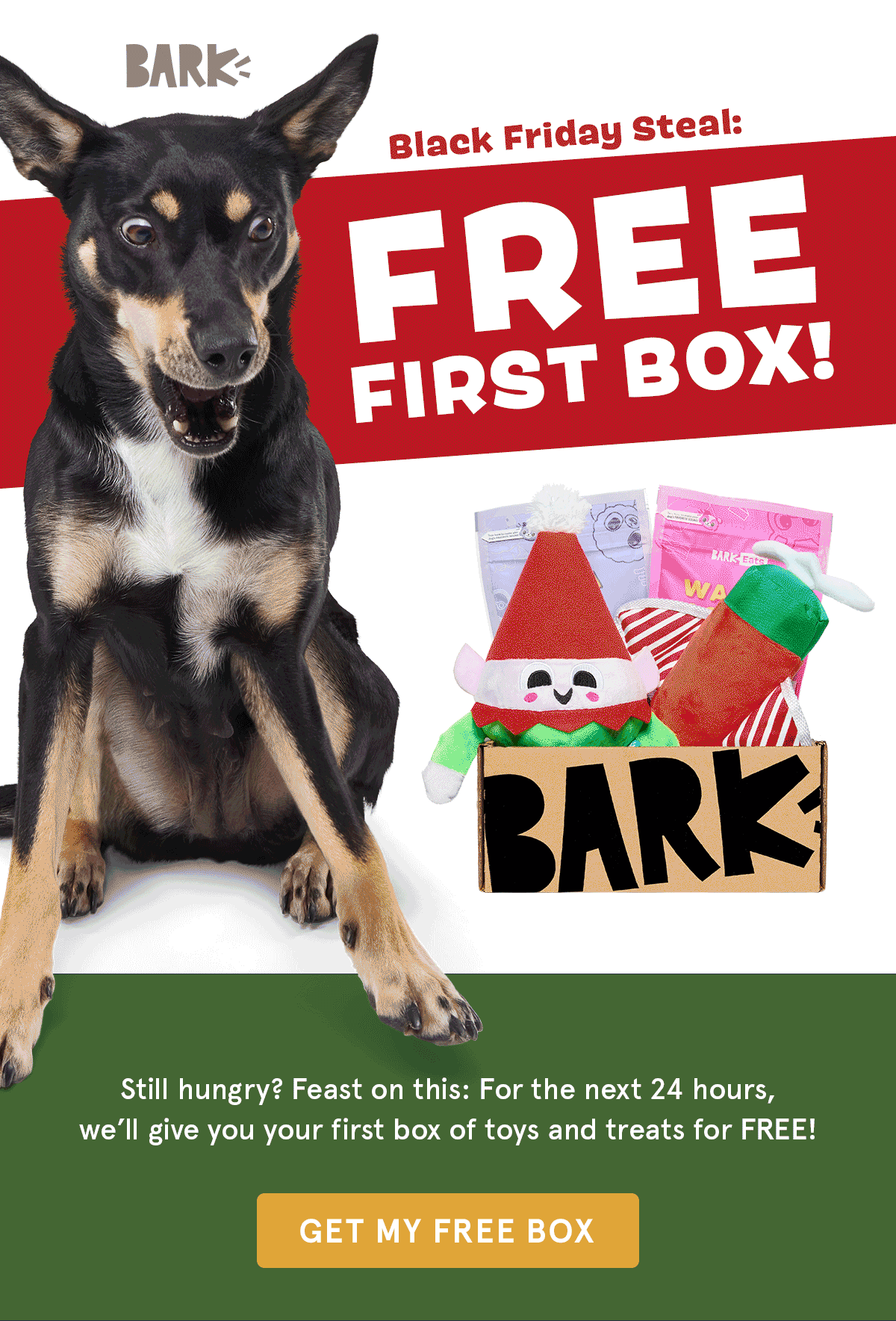 BarkBox Black Friday Coupon Code First Box FREE Subscription Box Ramblings