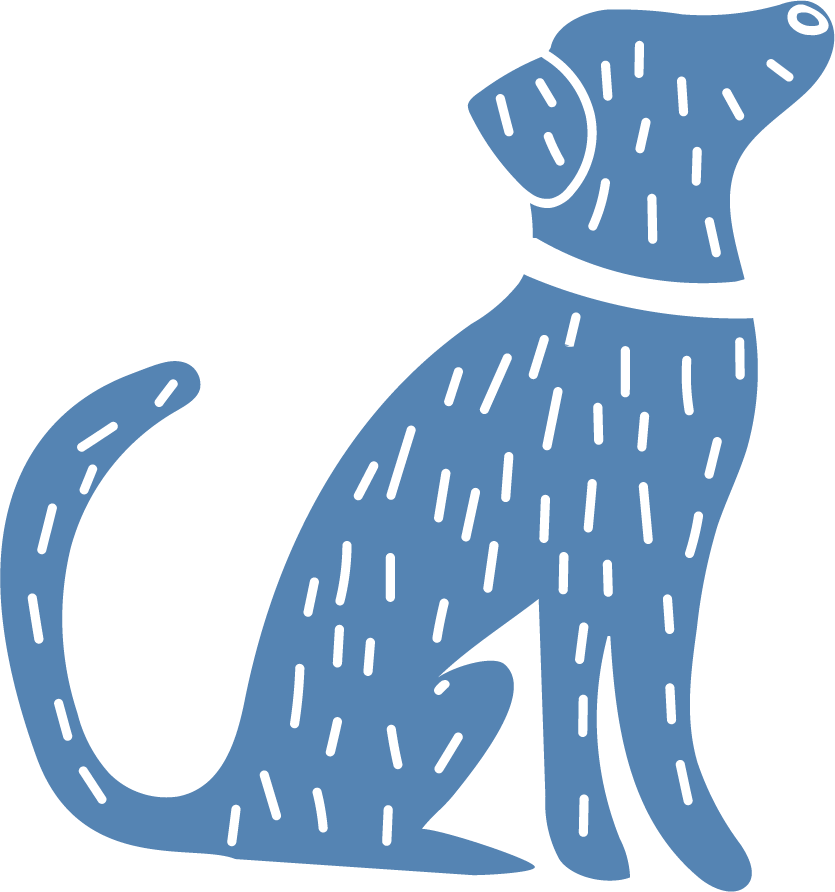 Small Animal Surgery