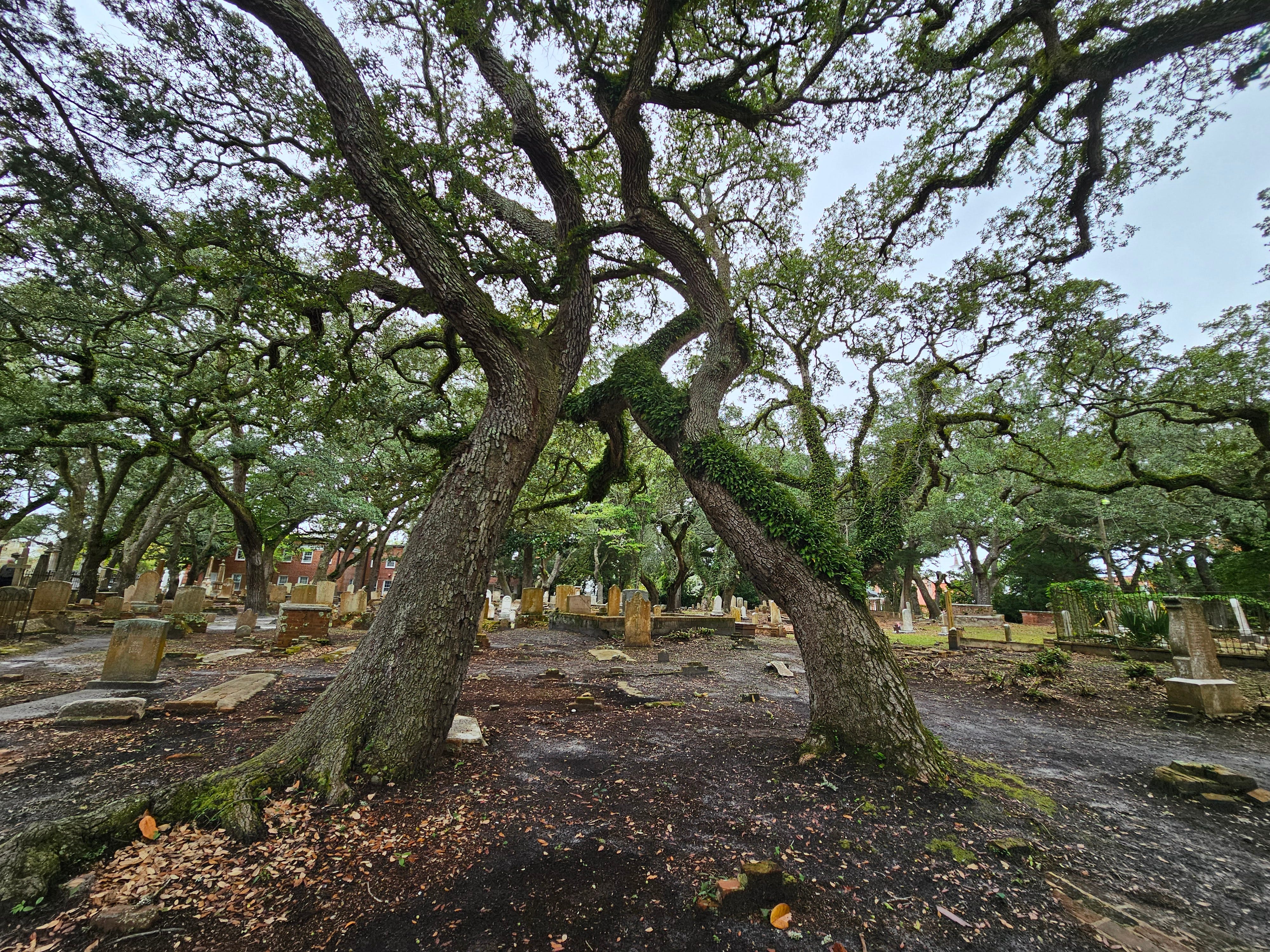 The Haunting Grave That Draws Tourists To A Spooky Old Cemetery
