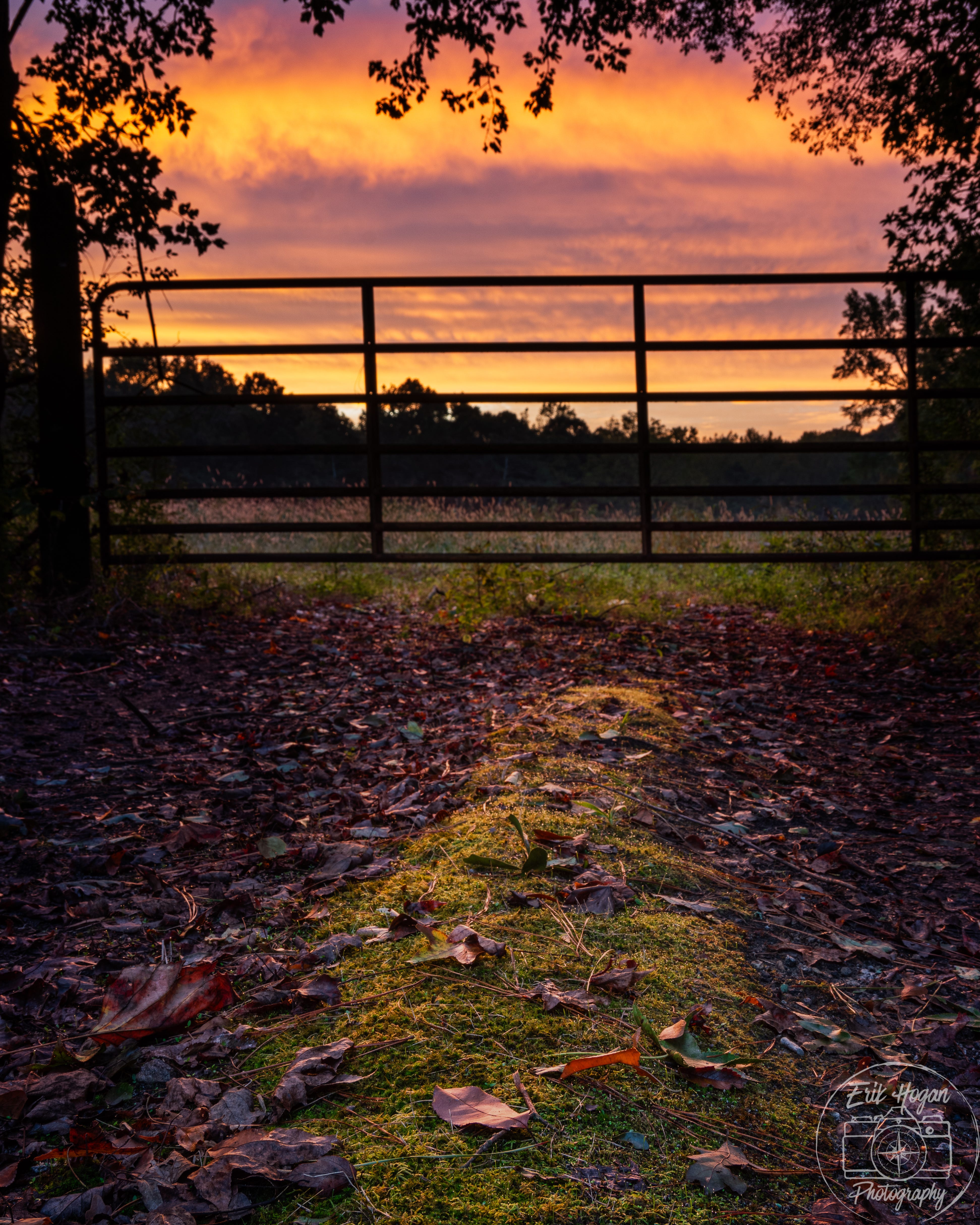 October Eclectic by Erik Hogan Field Notes