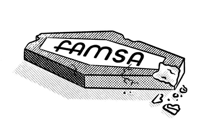 La tragedia de Grupo Famsa Porque cerro famsa