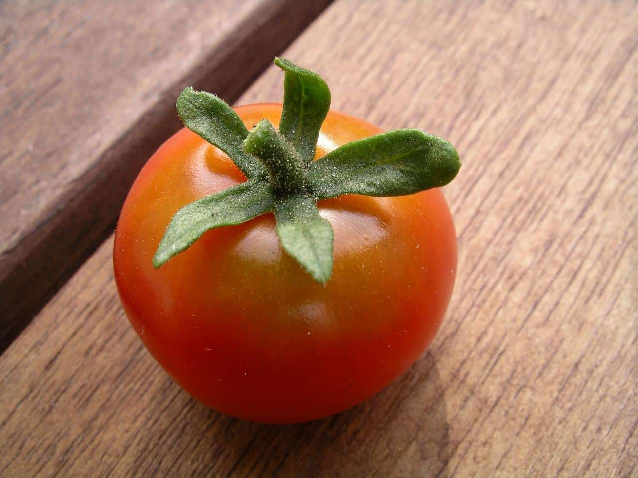 10 Best Tomato Juice Substitutes Garden