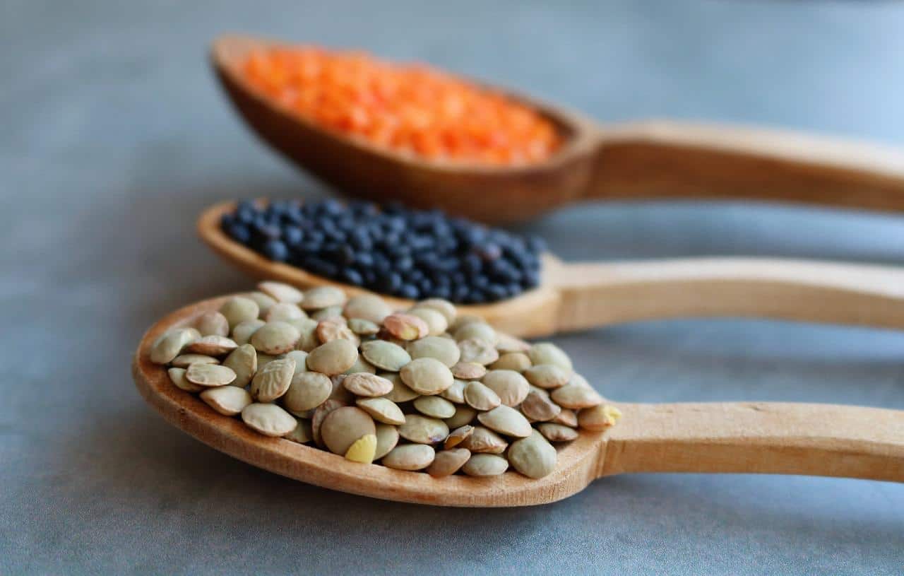 20 Best Substitutes for Orzo Pasta Substitute Cooking