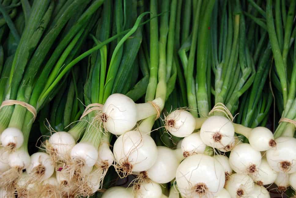 12 Best Green Onion Substitutes Substitute Cooking