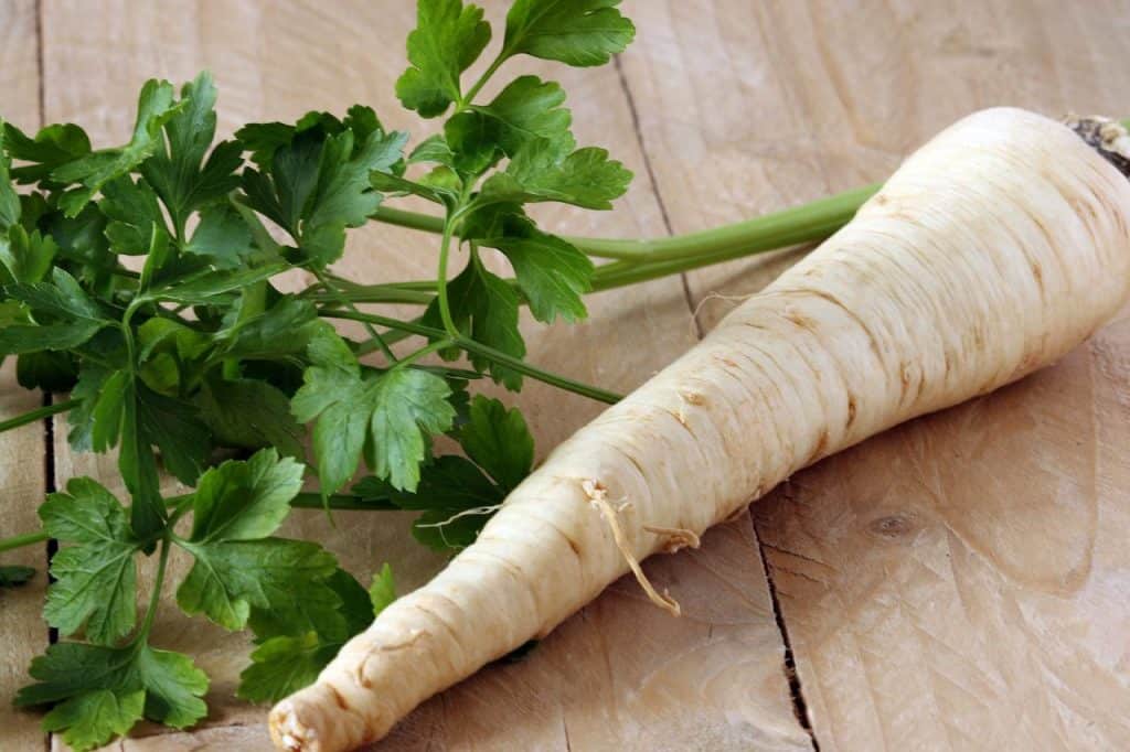 10 Best Turnip Substitutes Substitute Cooking