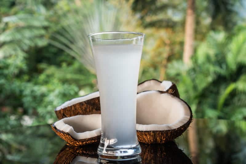 10 Best Coconut Water Substitutes Substitute Cooking