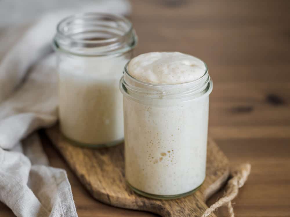 Sourdough Starter Not Rising How to Fix it? Substitute Cooking