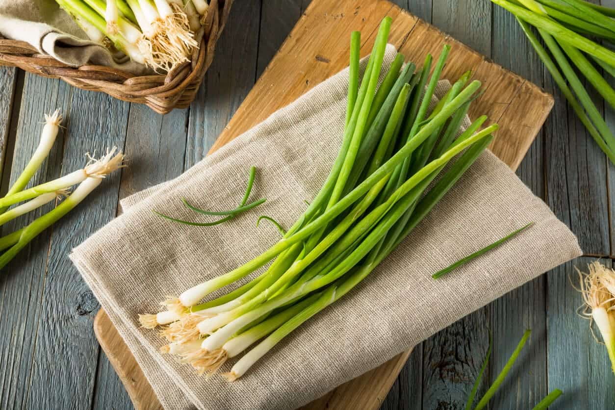 12 Best Vidalia Onion Substitutes Substitute Cooking