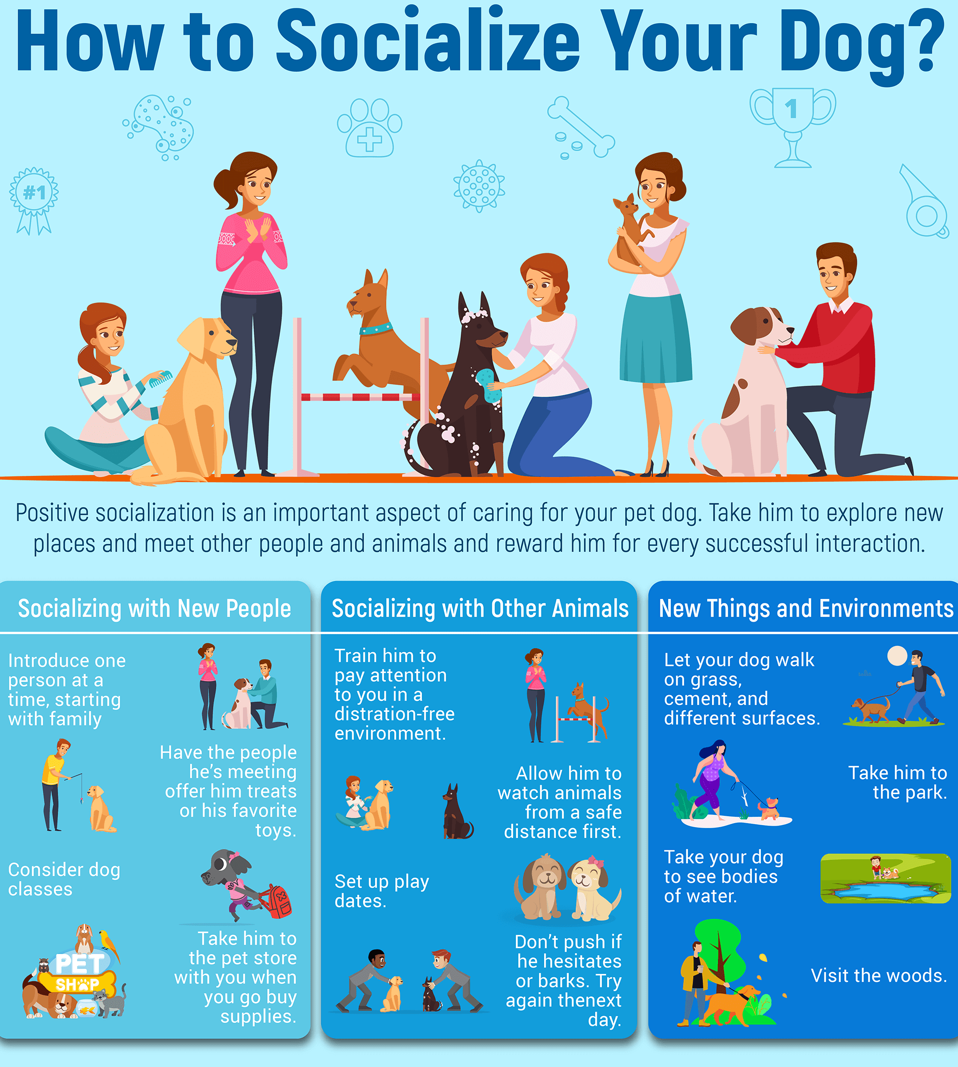 Easing Separation Anxiety In Dogs (Triggers + Quick Cures)