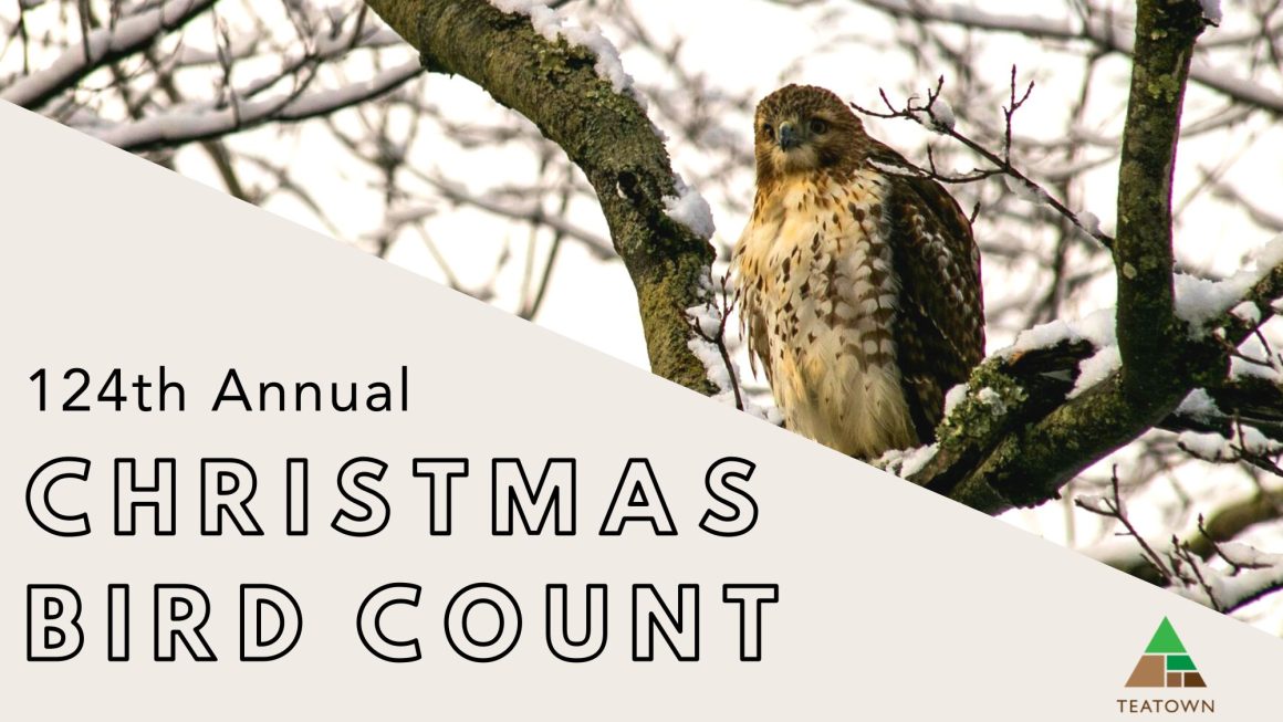 Christmas Bird Count Part 1 Suburban Guides