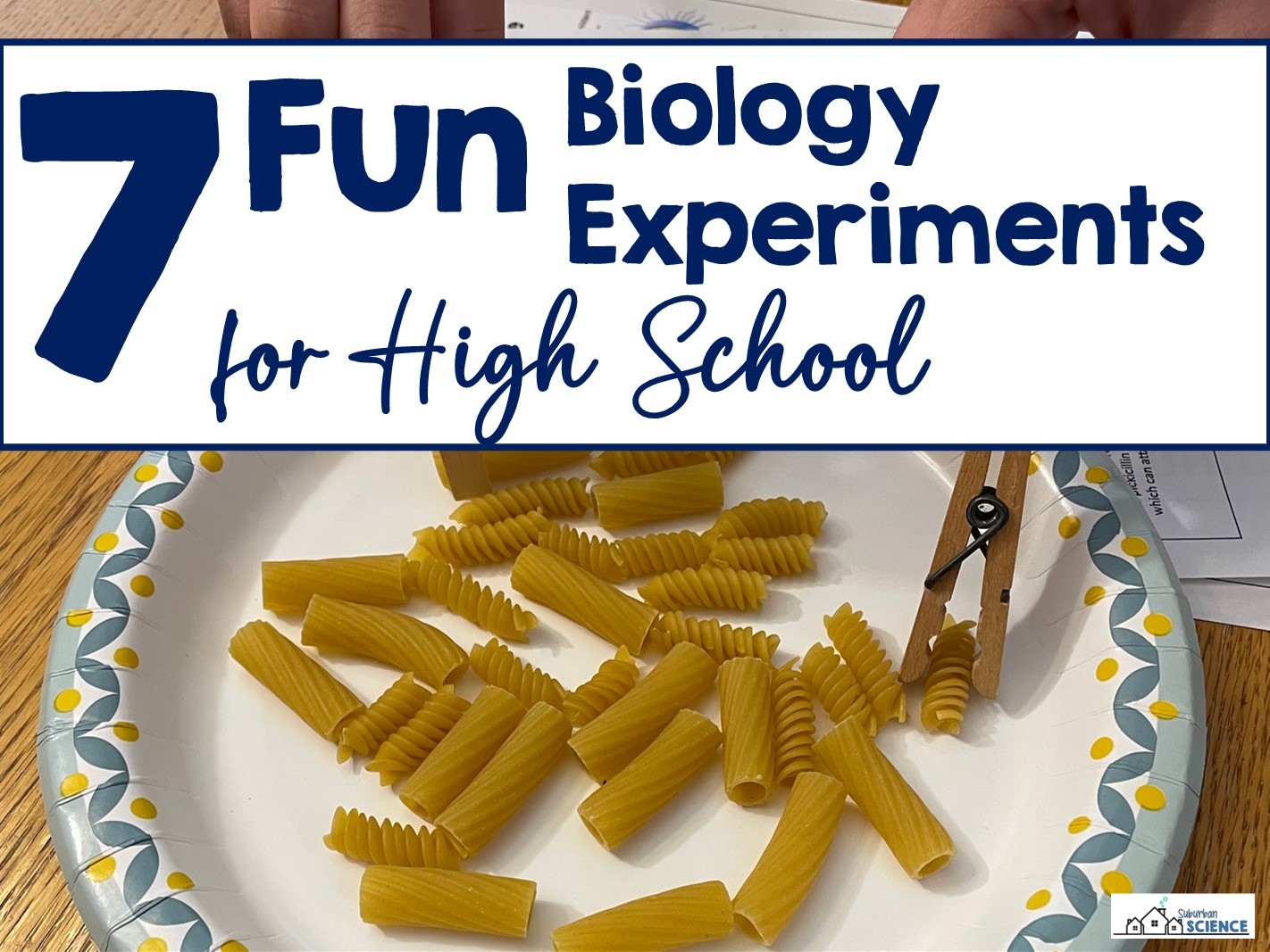 7 Fun Biology Experiments for High School Suburban Science