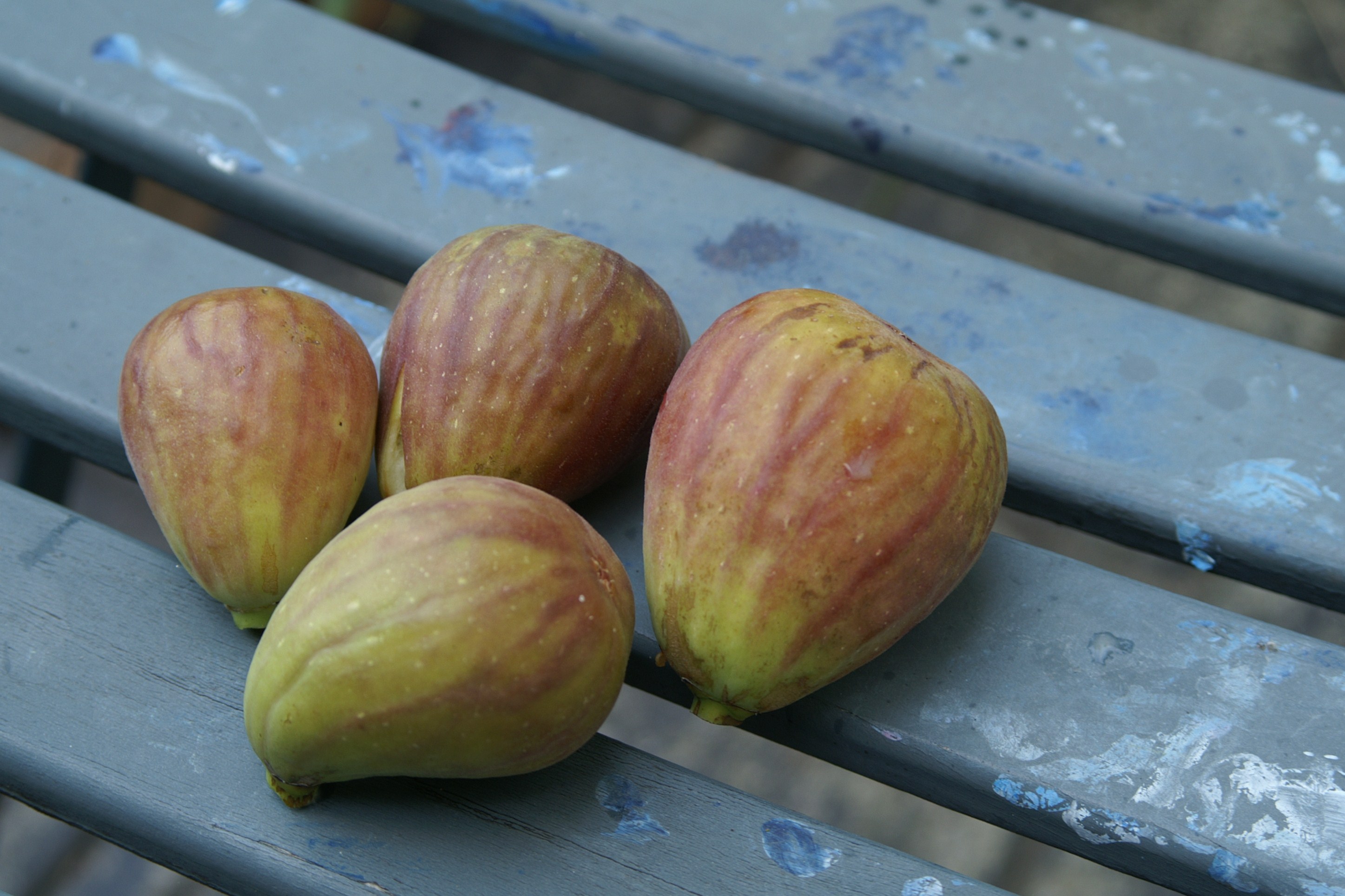 Top 5 Fruit and Veg in season in Melbourne in March Suburban Tomato