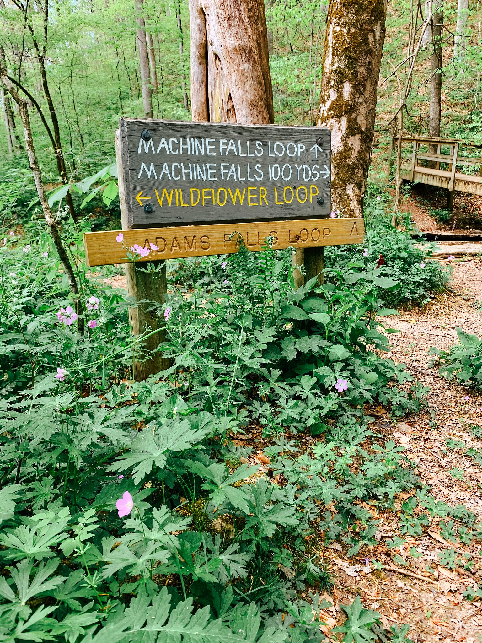 Machine Falls Waterfalls & Wildflowers an Hour and a Half from Nashville