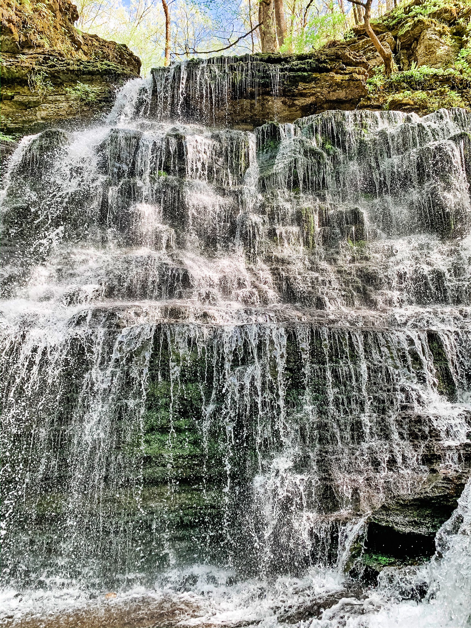 Machine Falls Waterfalls & Wildflowers an Hour and a Half from Nashville