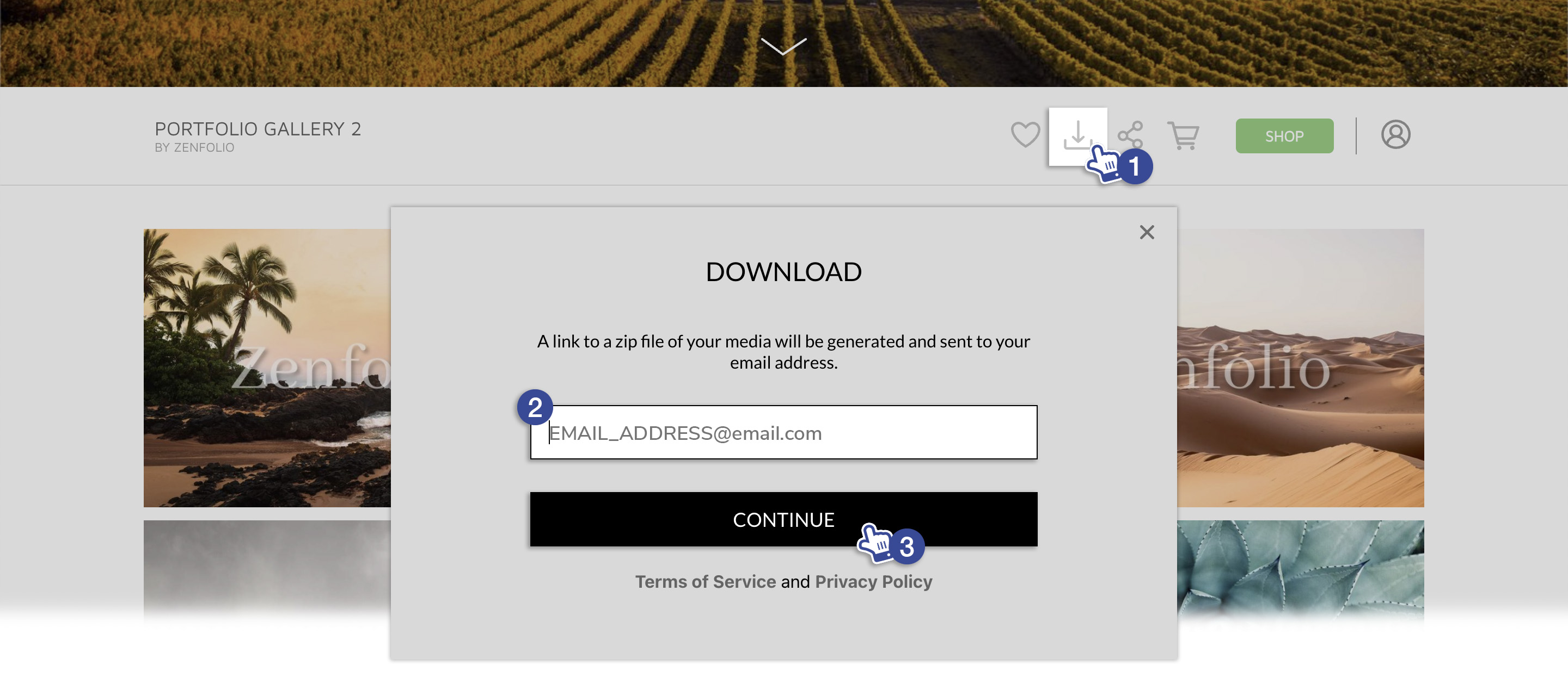 How To Download Photos From Galleries and Orders Zenfolio