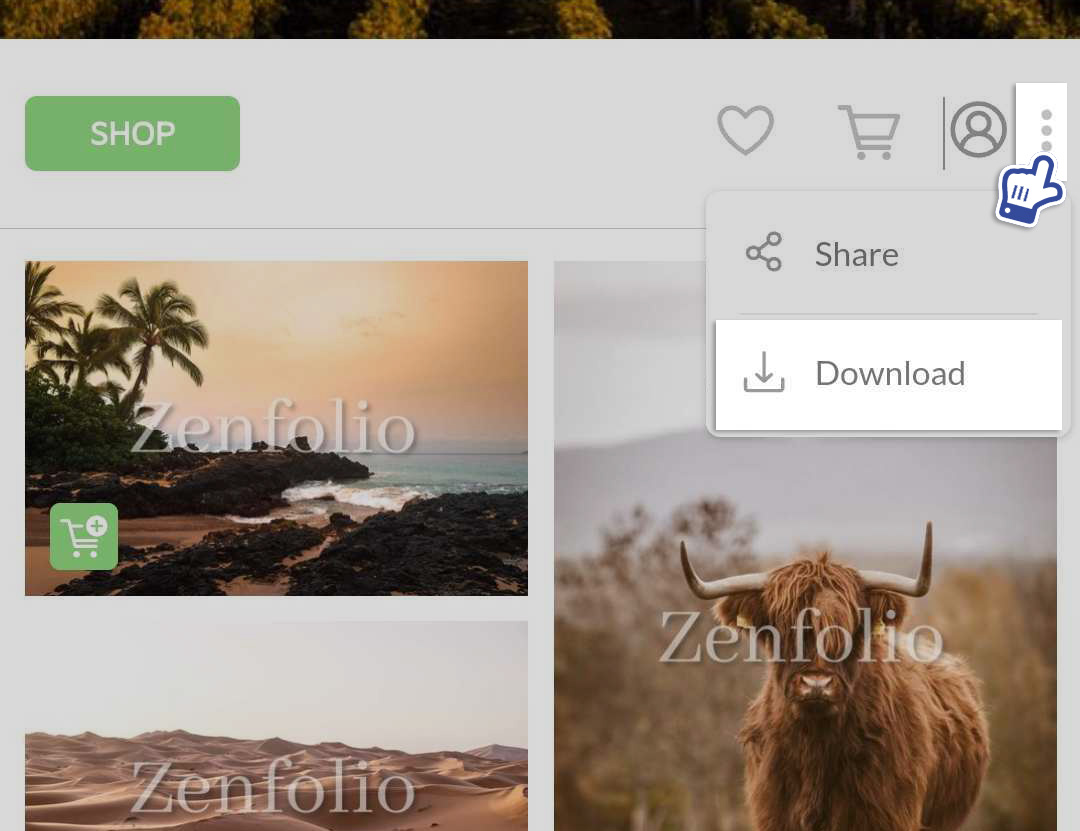 How To Download Photos From Galleries and Orders Zenfolio