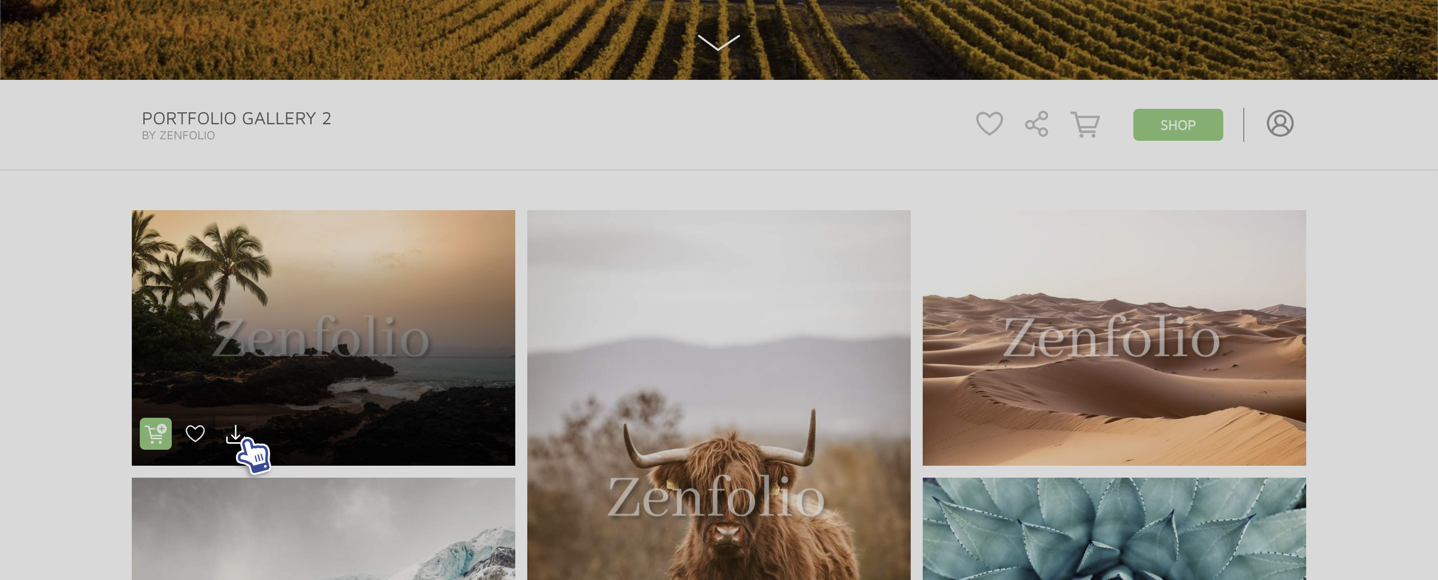 How To Download Photos From Galleries and Orders Zenfolio