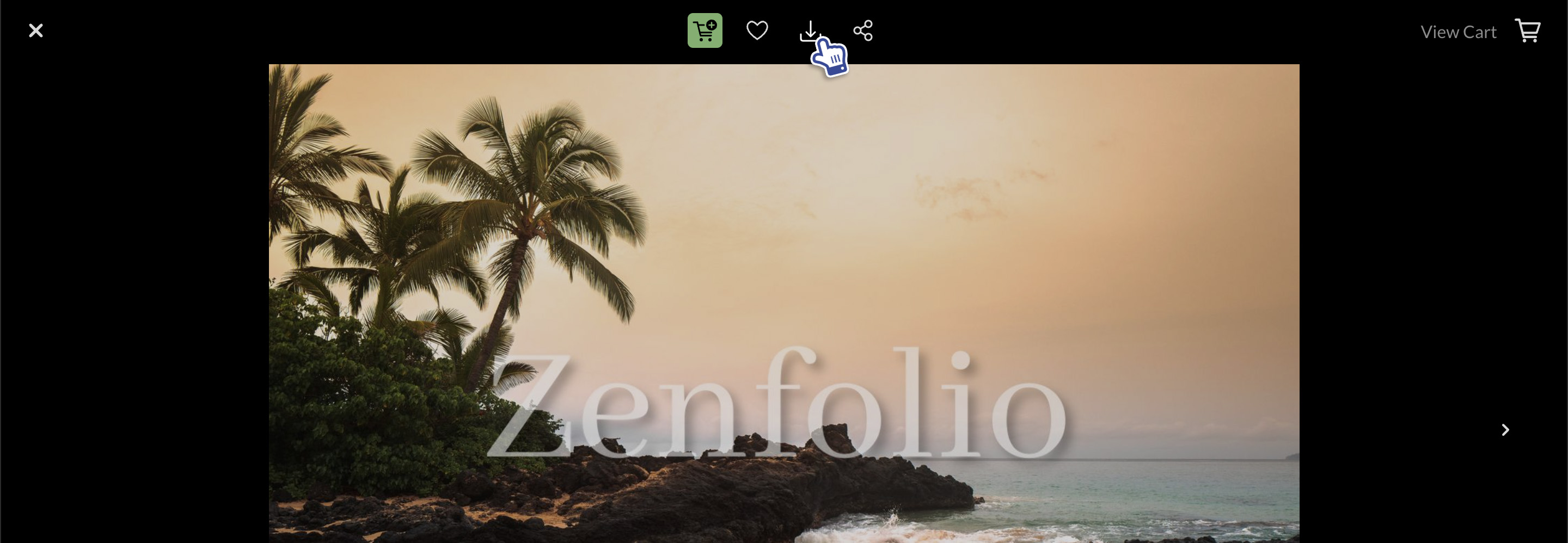 How To Download Photos From Galleries and Orders Zenfolio