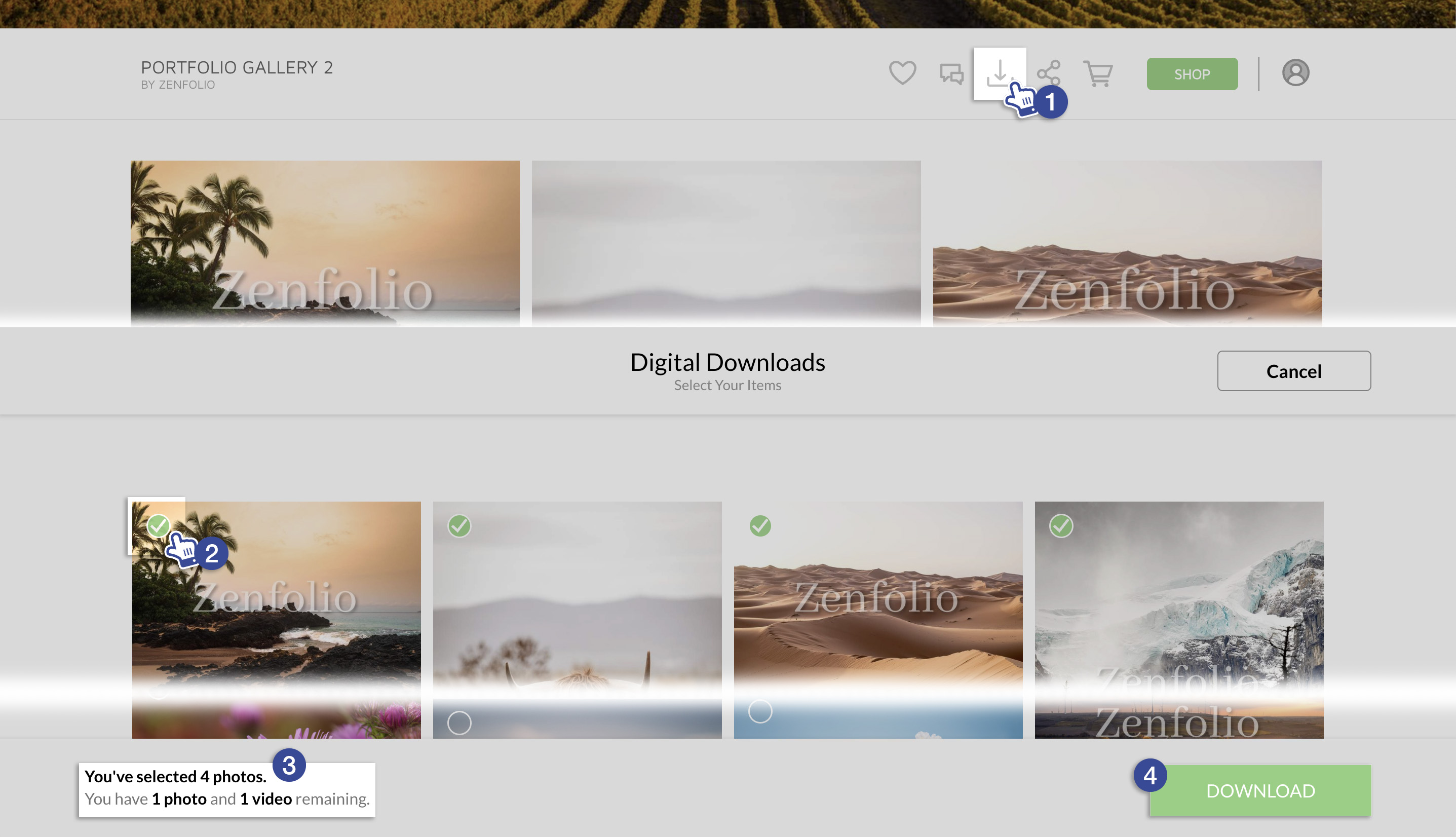 How To Download Photos From Galleries and Orders Zenfolio
