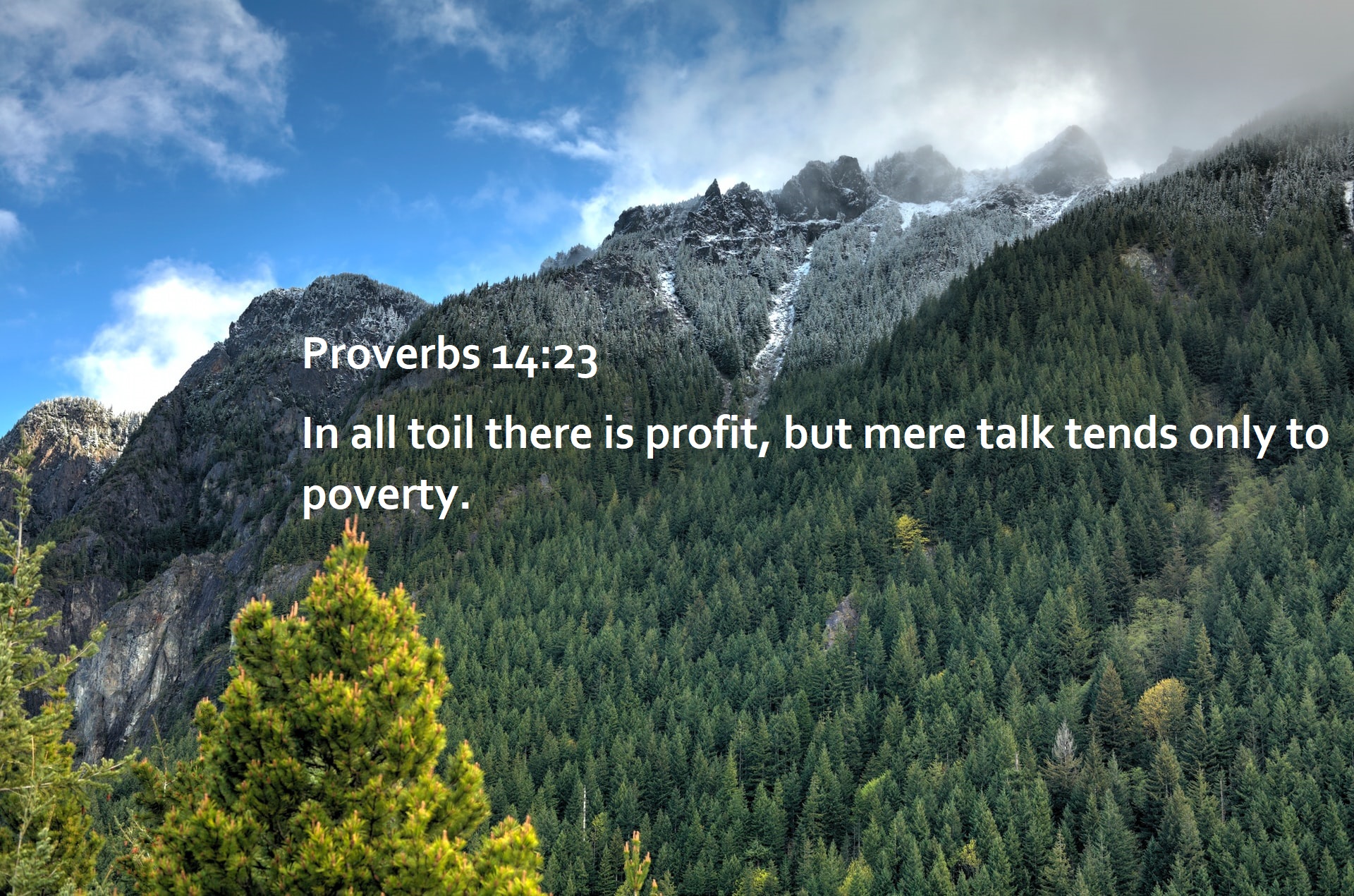 12 Bible Verses About Hard Work In Proverbs Success With