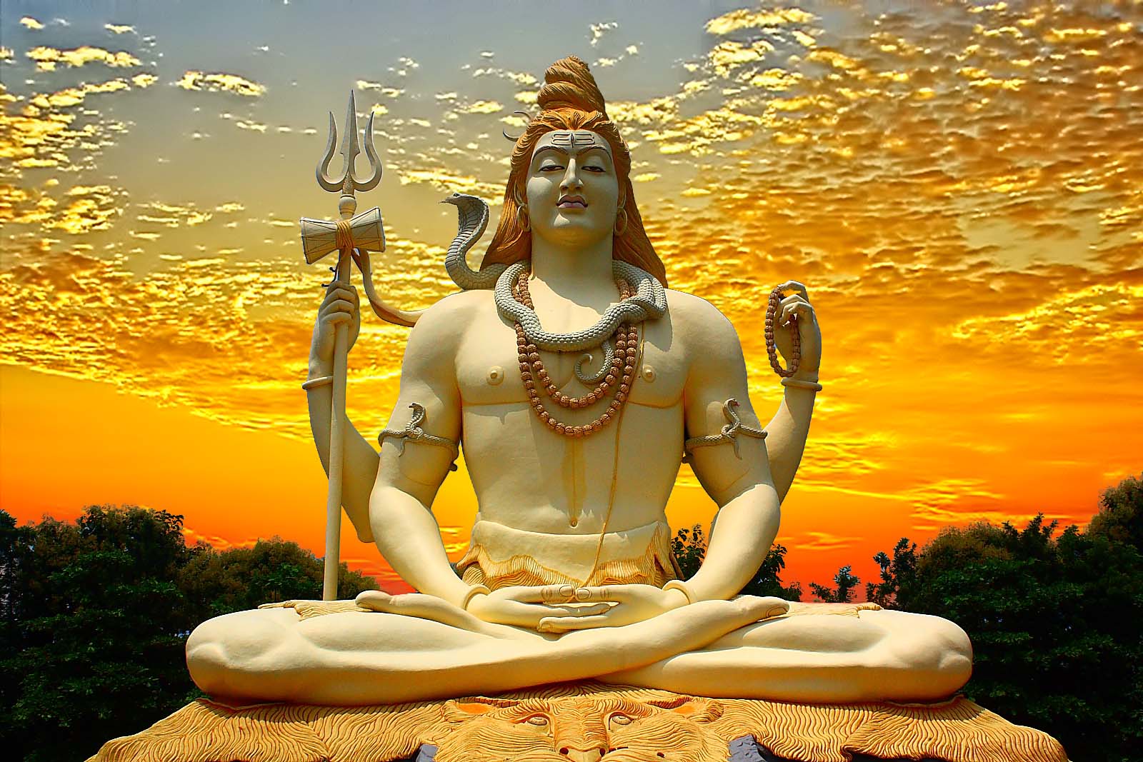 Shiva Why Is The Idea of Shiva So PopularSuccess Vector