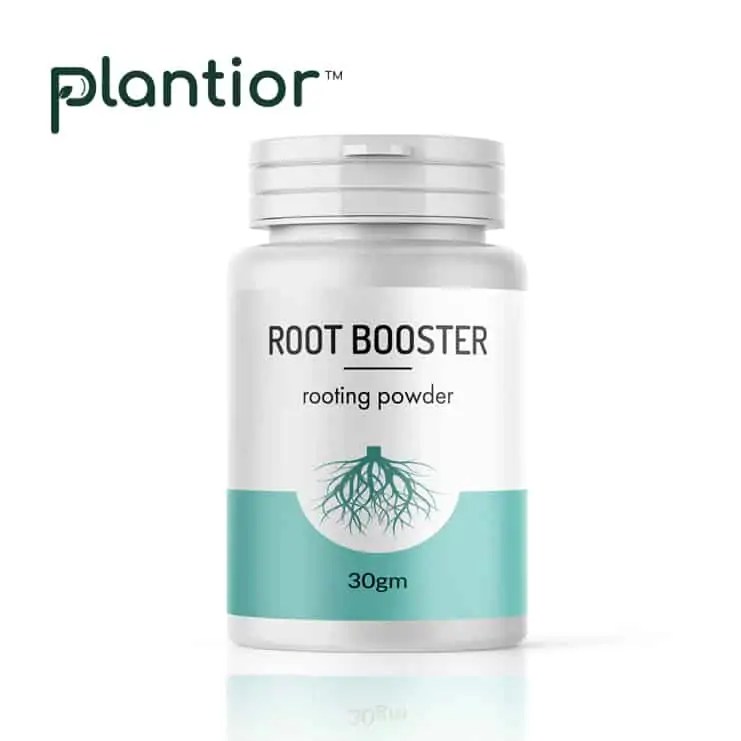 plantior Root Booster Succulent & Cactus Malaysia