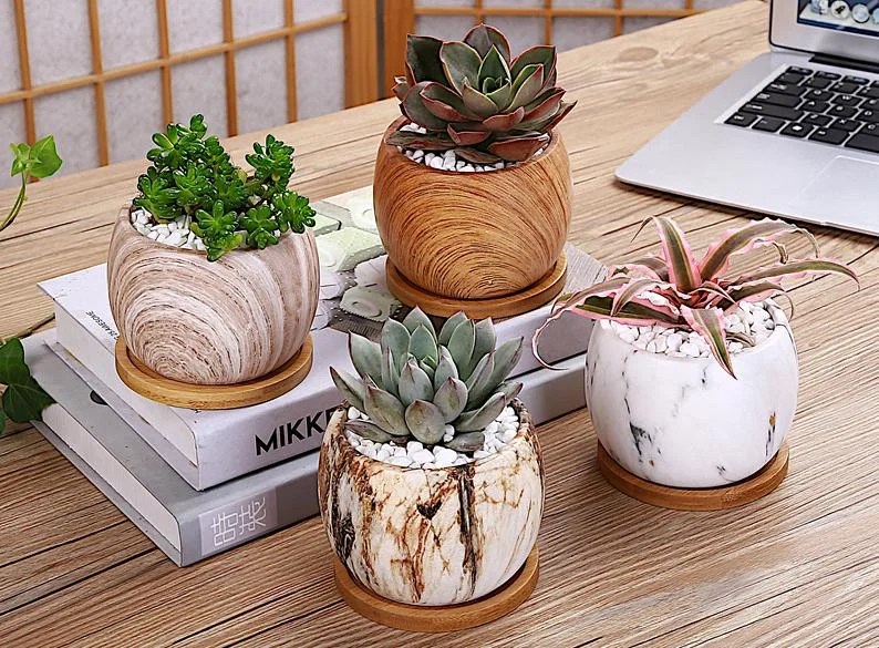 best drainage pots for succulents