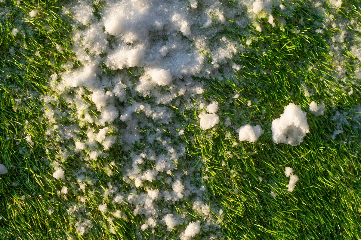 How To Remove Snow From Your Artificial Turf Succulent Alley