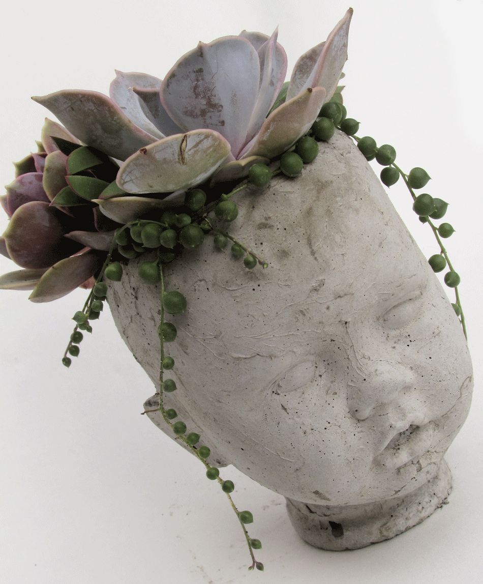 SAM DOLL HEAD PLANTER POT Succulent Plants UK