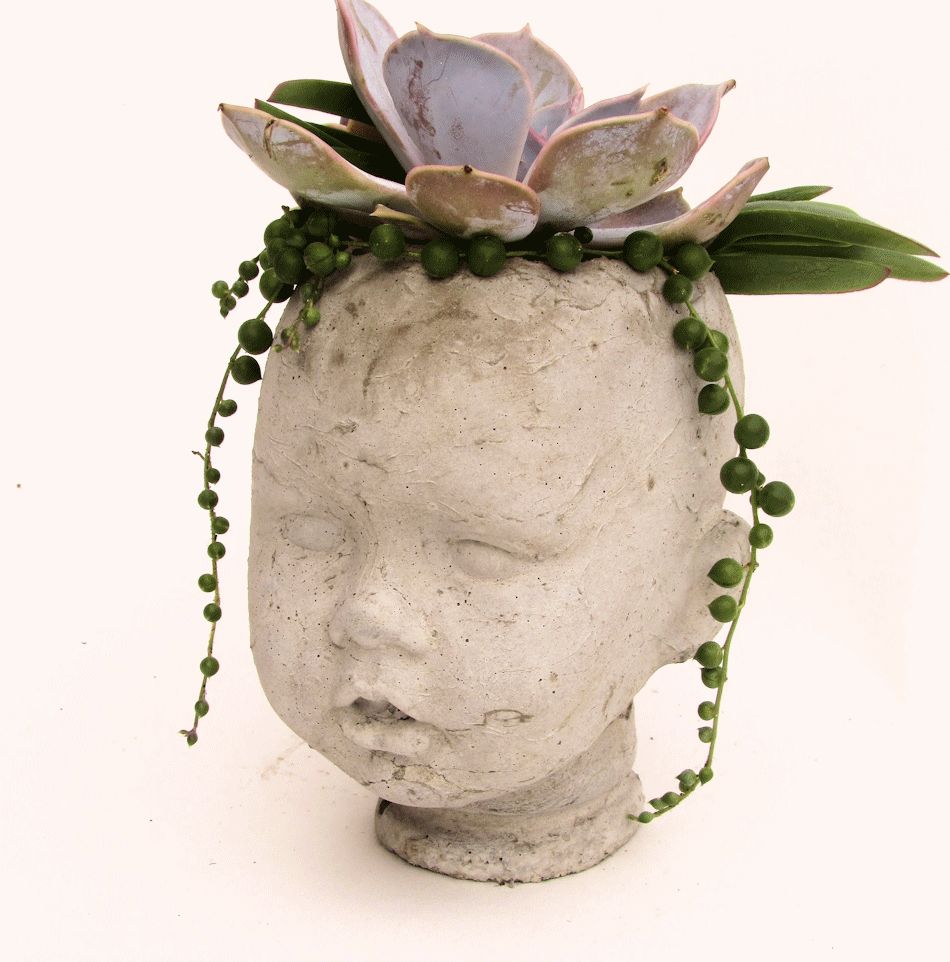 SAM DOLL HEAD PLANTER POT Succulent Plants UK