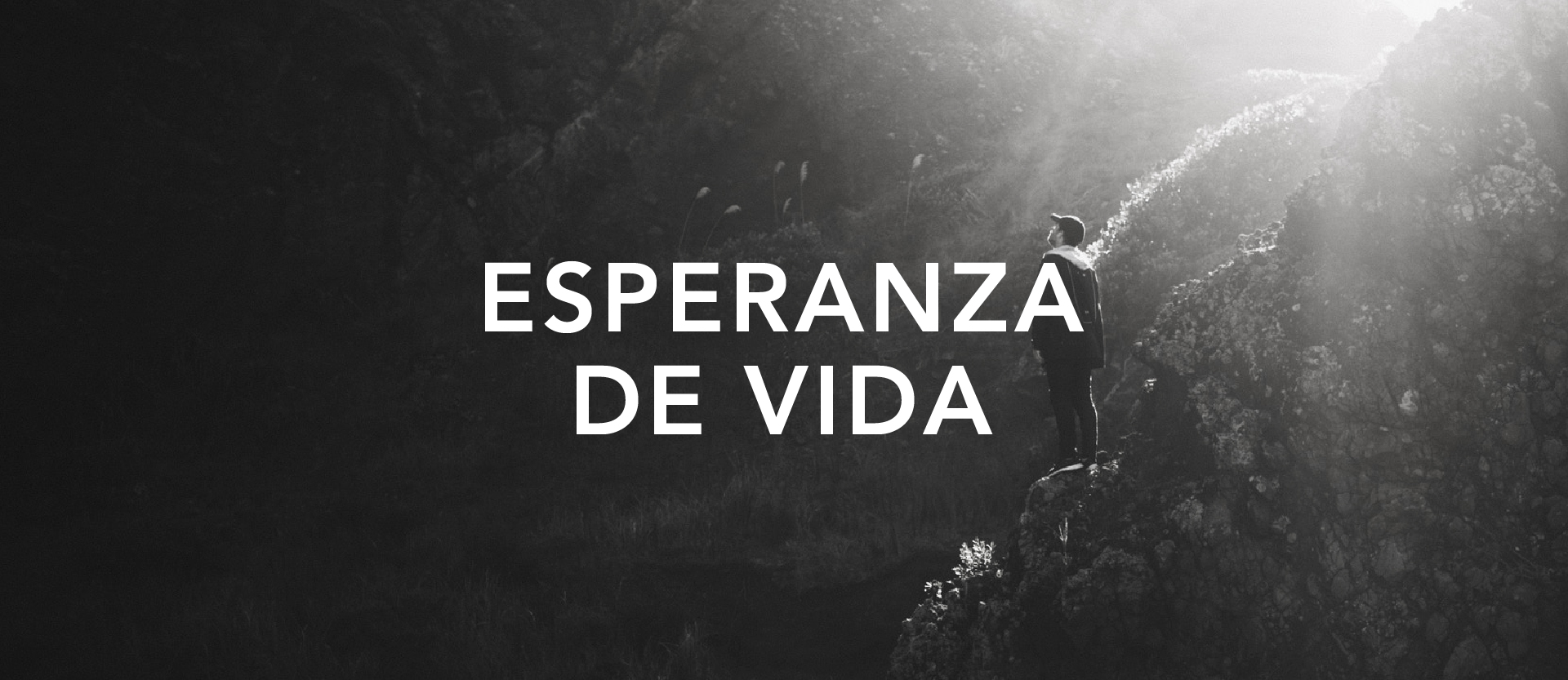 Una esperanza viva Su Consejo