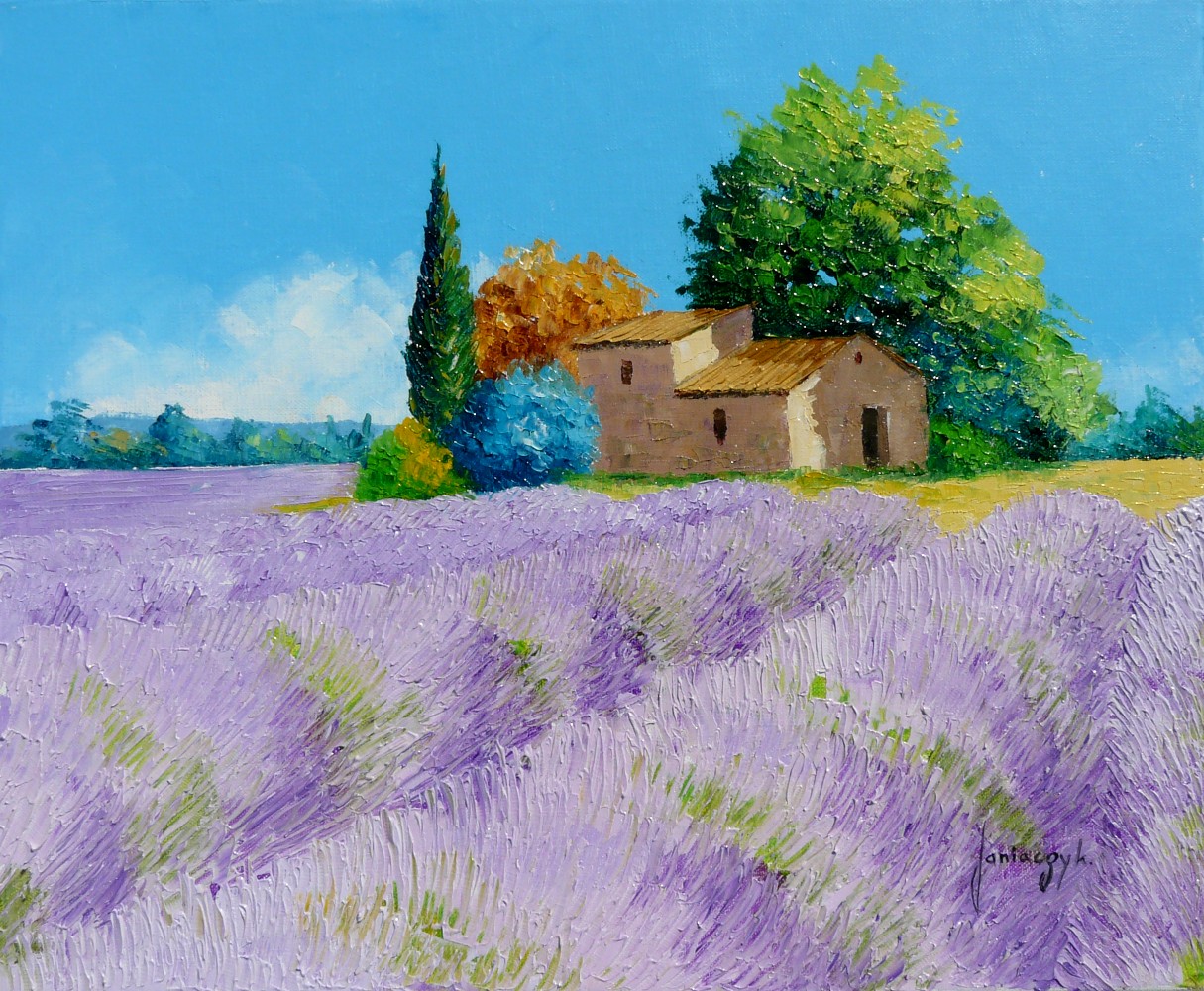 Huile Essentielle De Lavande Le Blog Sucre Vert