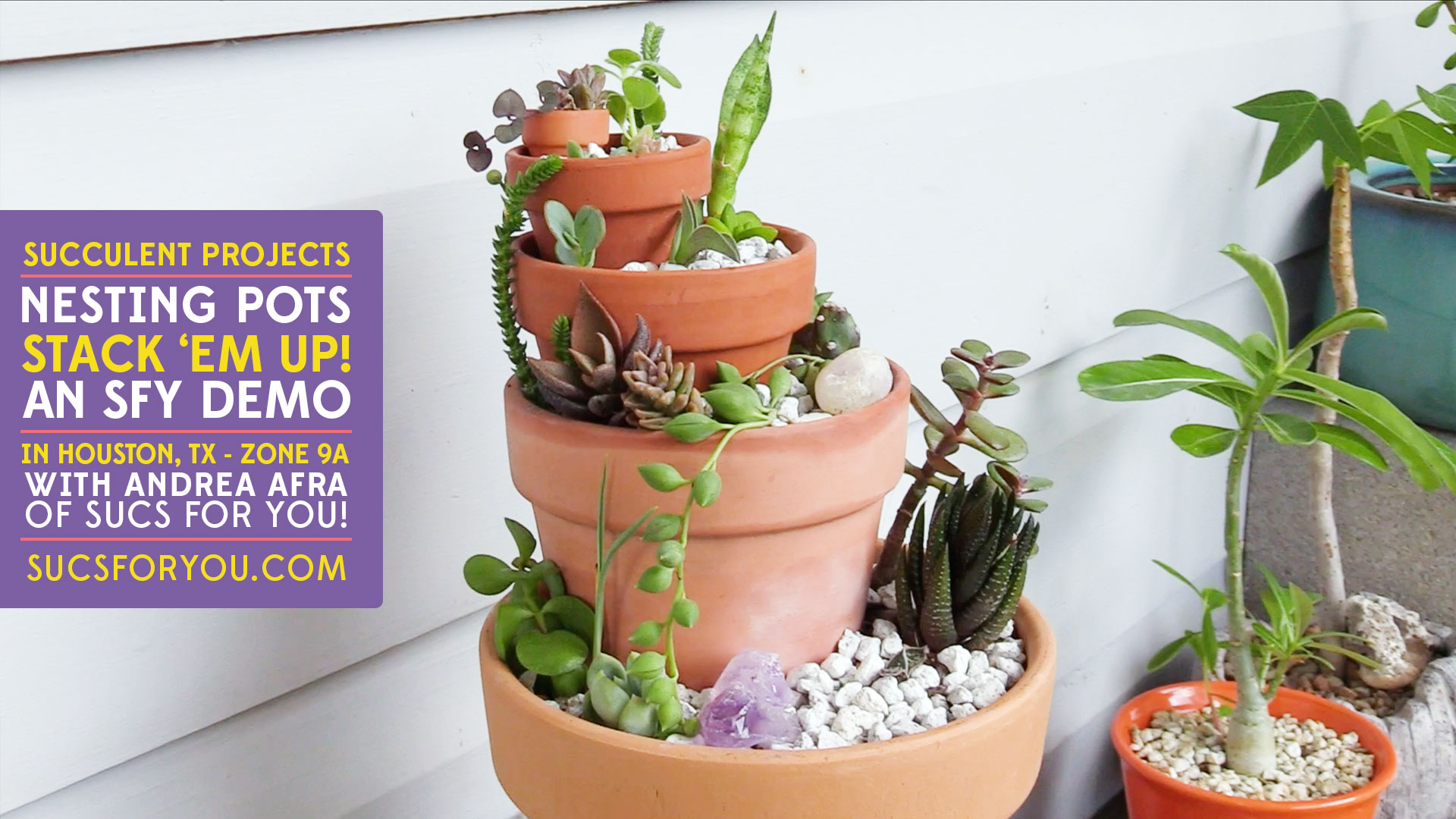 Fun Succulent Projects Nesting Pots Demo Sucs for You!