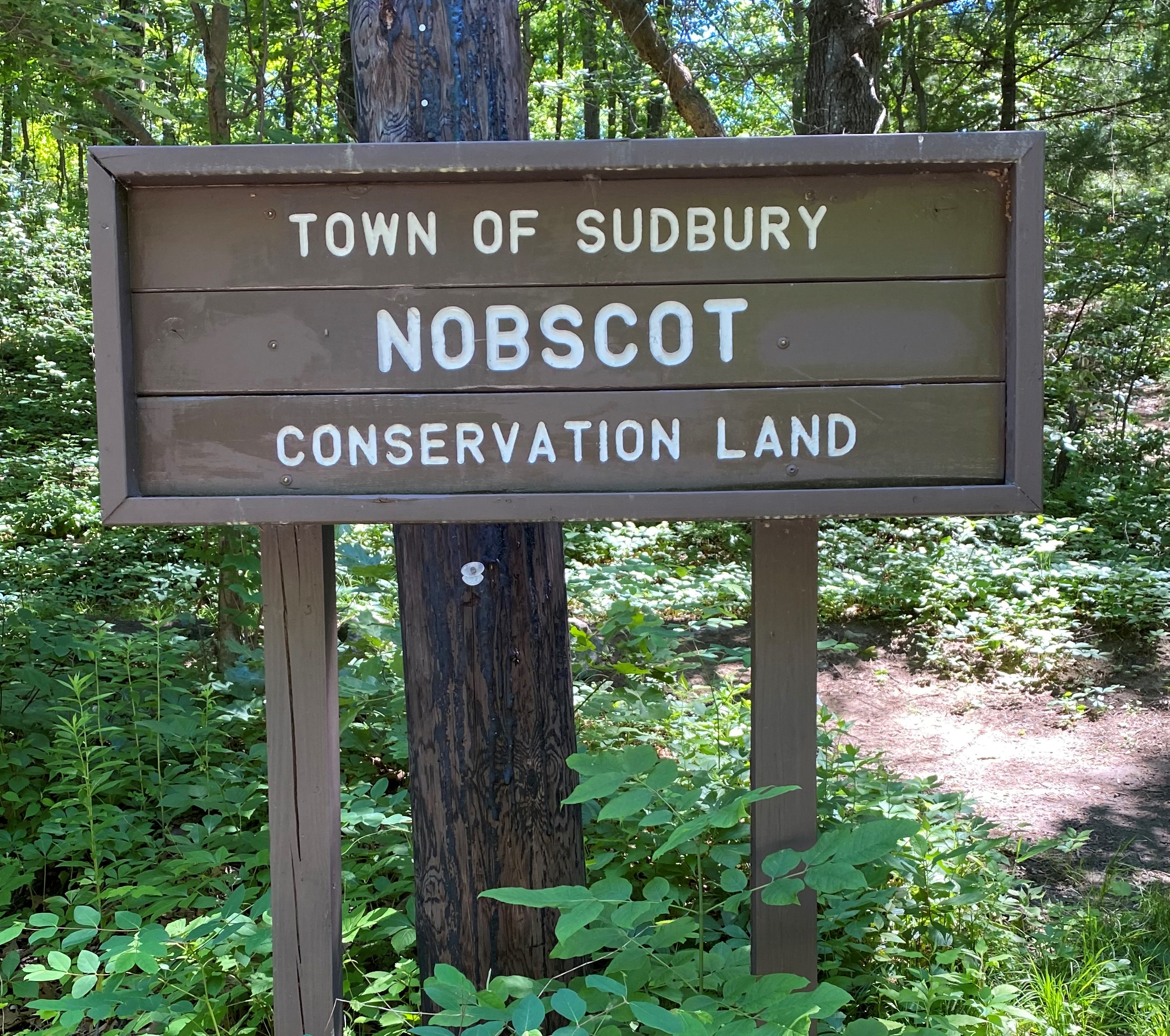 Nobscot Conservation Land » Sudbury