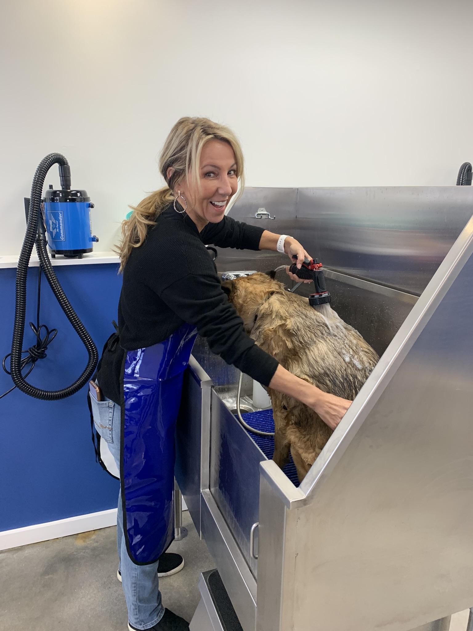 Home Sudsy Mutts Dog Washing and Grooming