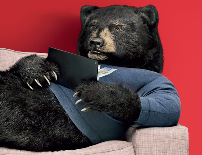 sofa bear — Sue Allatt