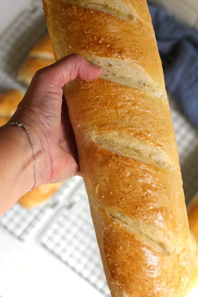 Miscella Bosch Mixer French Bread Recipe