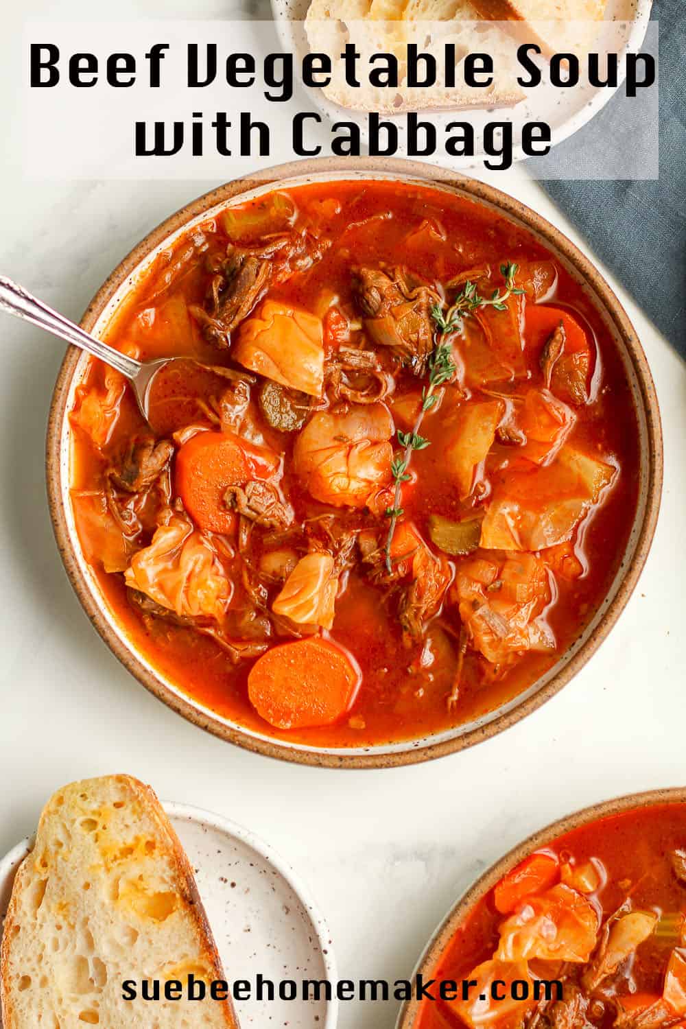 Beef Vegetable Soup with Cabbage SueBee Homemaker