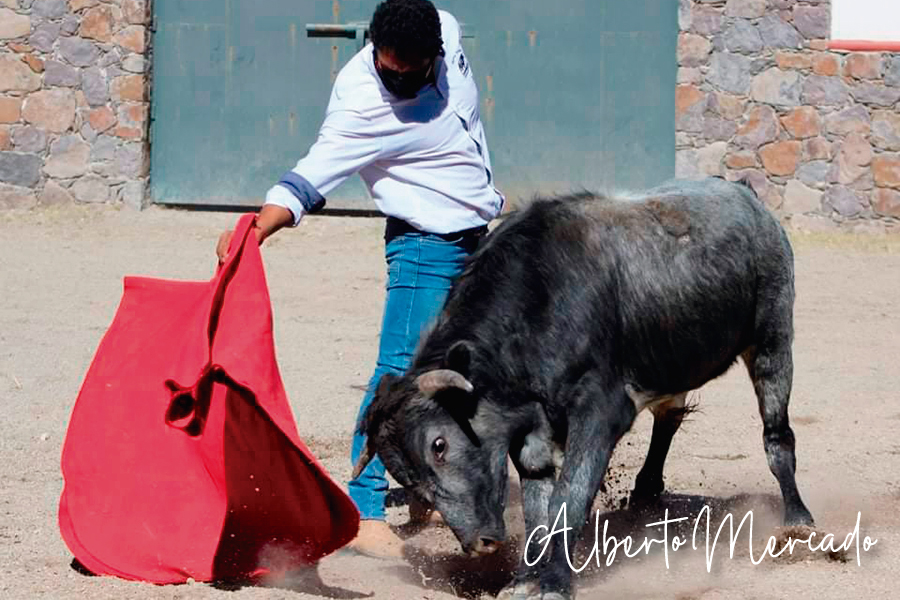 Conociendo a los aspirantes a novillero del 2º Festival “Quiero ser