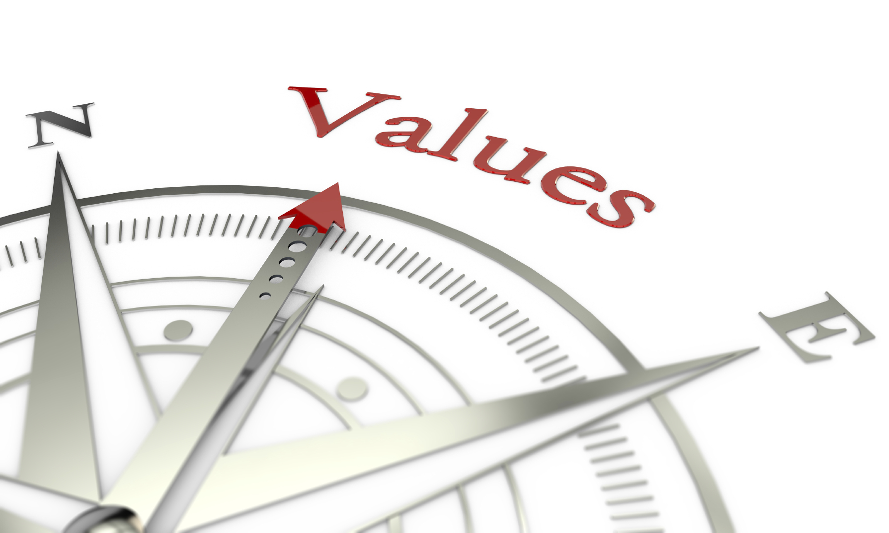 Transformative Values sueschade