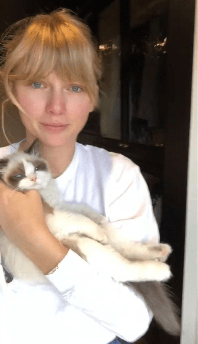 20 Taylor Swift No Makeup Photos That Will Shock You Suffle Music