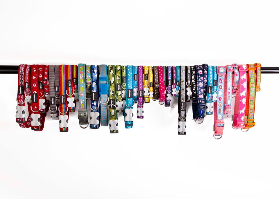 Dog Boutique Ipswich Luxury Dog Accessories Suffolk Dog Town