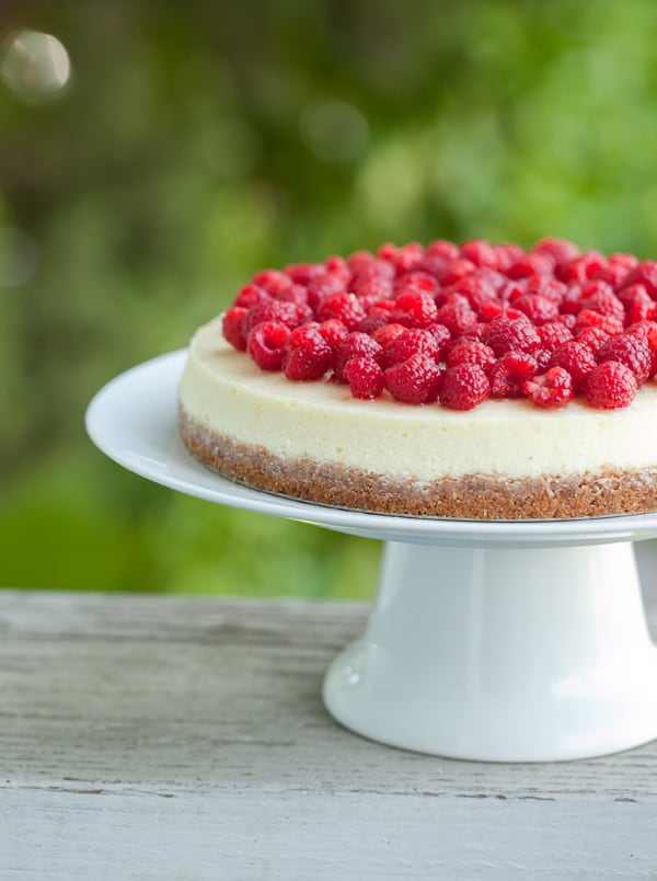 goat cheese cheesecake with fresh raspberries Sugar and Charm Sugar