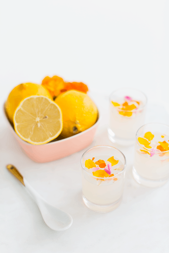 Edible Flower Lemon Jello Shots Recipe — Sugar & Cloth