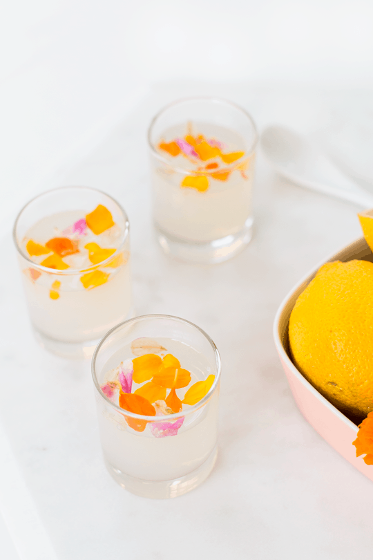 Edible Flower Lemon Jello Shots Recipe — Sugar & Cloth