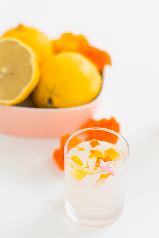 Edible Flower Lemon Jello Shot Recipe Sugar & Cloth