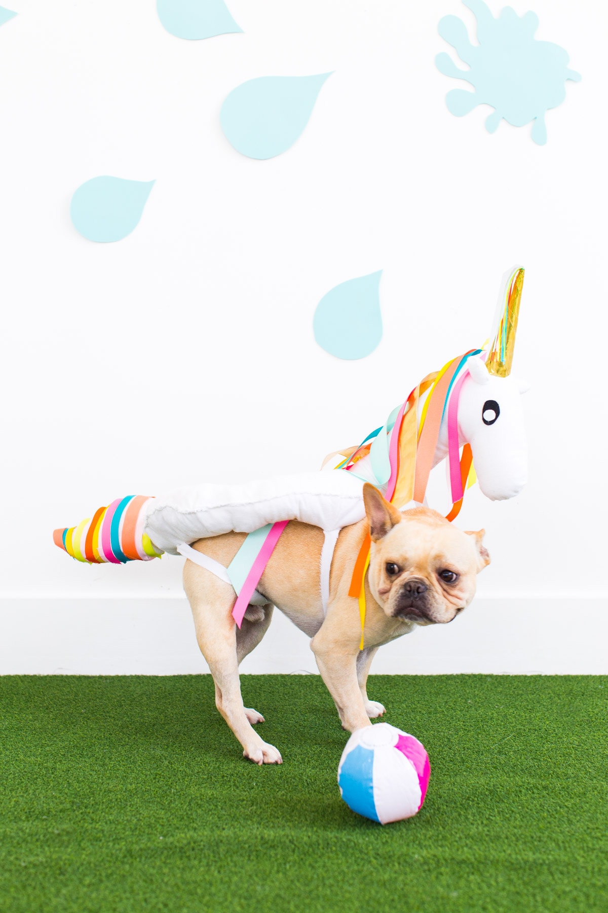 DIY Pool Float Costume For The Pups Sugar & Cloth